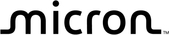 micron