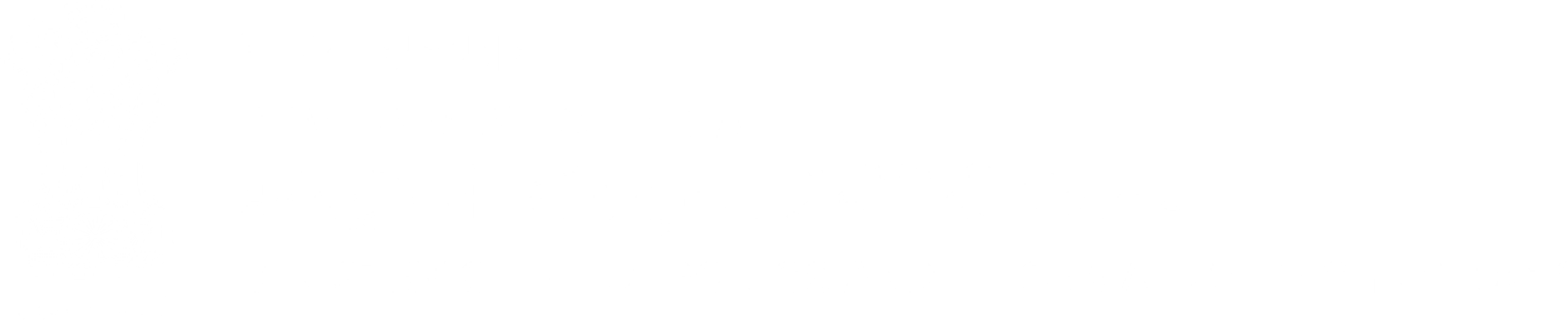 meity